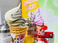 -田素(稻田创业小镇店)