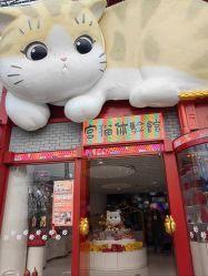 -嗨翻Hi-Fun竞技主题乐园·蹦床团建生日聚会(五棵松华熙店)