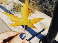 -蟠龙山长城景区