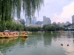 -团结湖公园