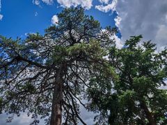 -北京上方山国家森林公园
