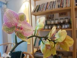 -吾之瑜生瑜伽普拉提学院