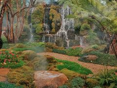 -Chom Cafe and Restaurant