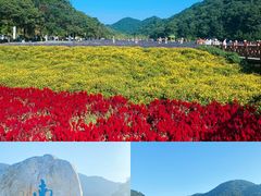 -广州市石门国家森林公园