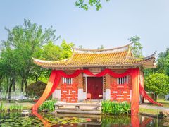 -武汉园博园(武汉自然博物馆)