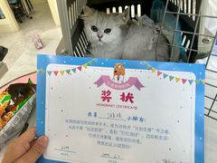 -心语宠物医院·急重症转诊中心·瑞辰华诺(南青路店)