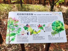 -昆明植物园