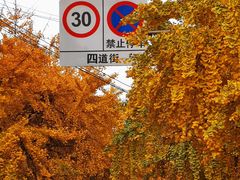 -蓉城西二道无名冒菜(西二道街店)