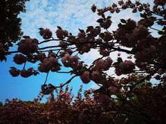 -江南大学(蠡湖校区)