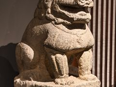 -天雅古玩城