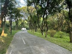 -燕晗山郊野公园
