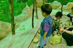 -宝燕乐园(闵行旗舰店)