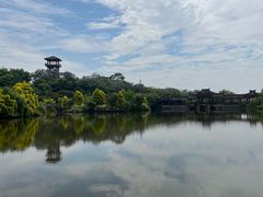 -张坝桂圆林公园