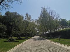 -北京张裕爱斐堡酒庄