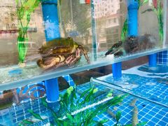 -富临港·蒸汽海鲜·手抓海鲜·炒菜(栈桥店)