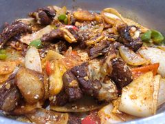 -尕胡才炕锅烤羊肉馆(八一路店)