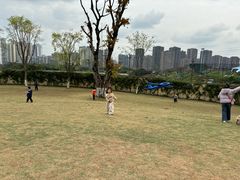 -龙泉洞(沙坪坝区)