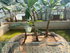 -石家庄市动物园