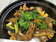金牌砂窝焗鱼-天鲜阁·海鲜粤菜·33年老字号(石槎白云站店)