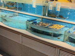 -钵家大院·地道湖北菜(江夏·大花岭店)