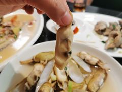 -杨记海鲜楼(三门黑金冠店)
