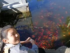 -武清南湖绿博园