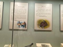 -辽宁古生物博物馆