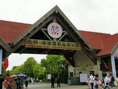 -上海海湾国家森林公园