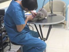 -天宠宠物医院24小时·急重症诊疗中心·全科·腔镜特色(和平分院)