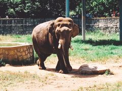 -西安秦岭野生动物园