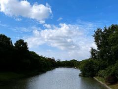 -上海海湾国家森林公园