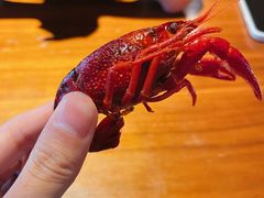 -上海雅居乐万豪侯爵酒店