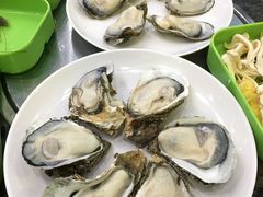 -蚝专家
