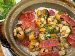 -崖口煲仔饭