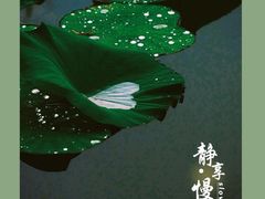 -马家湾湿地公园