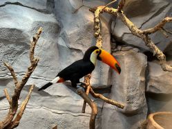 点击看大图 -Zoolung Zoolung动物主题公园(海信广场店)