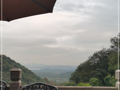 -韬光茶庵
