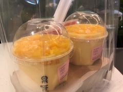 芒果雪乐-果呀呀(吾悦广场店)
