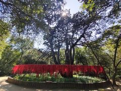 -北陵公园