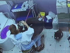 -唐小姐の私宠·宠物洗护美容·撸猫馆·购宠(周浦万达旗舰店)