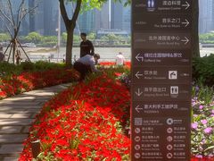 -北外滩滨江绿地