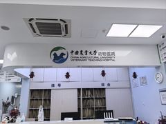 -中国农业大学动物医院