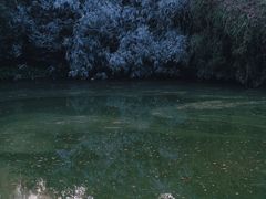 -韩湘水博园