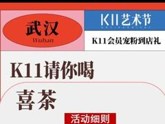 -武汉光谷K11