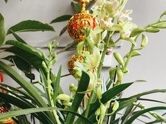 -花心思鲜花店(武昌徐东店)