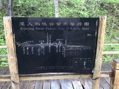 -望天鹅景区