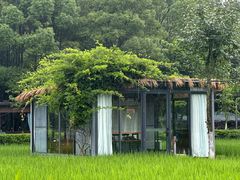 -洪湖家庭农场·团建·露营·会议