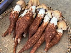 -云南木水花野生菌交易中心