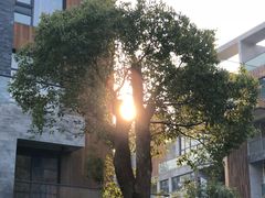 -庐山天沐温泉度假村