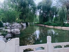 -莲花池公园